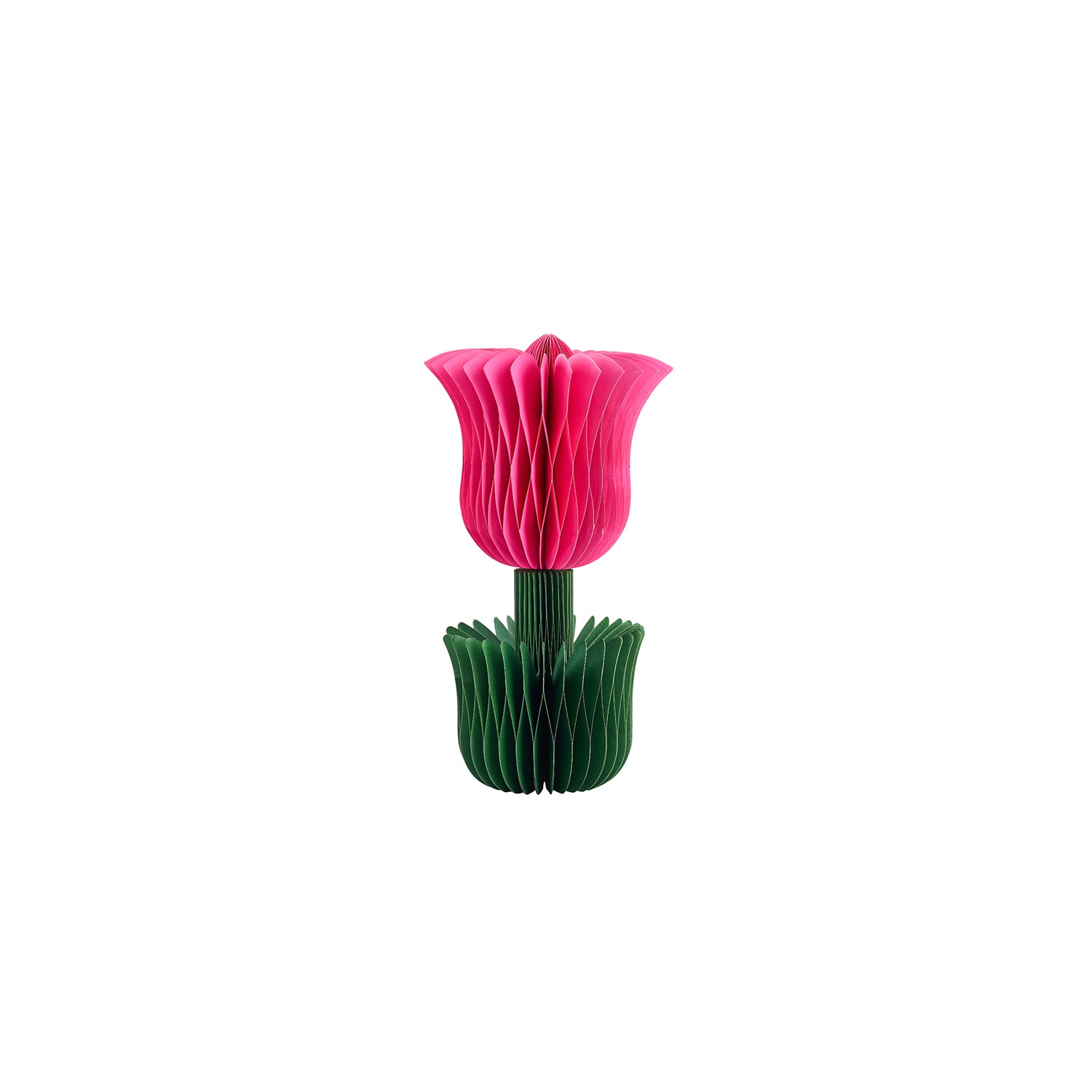 Honey Easter Tulip Pink S