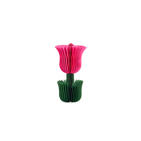 Honey Easter Tulip Pink S