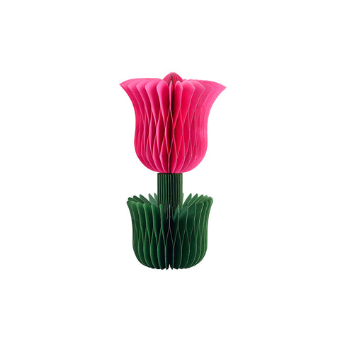 Honey Easter Tulip Pink M