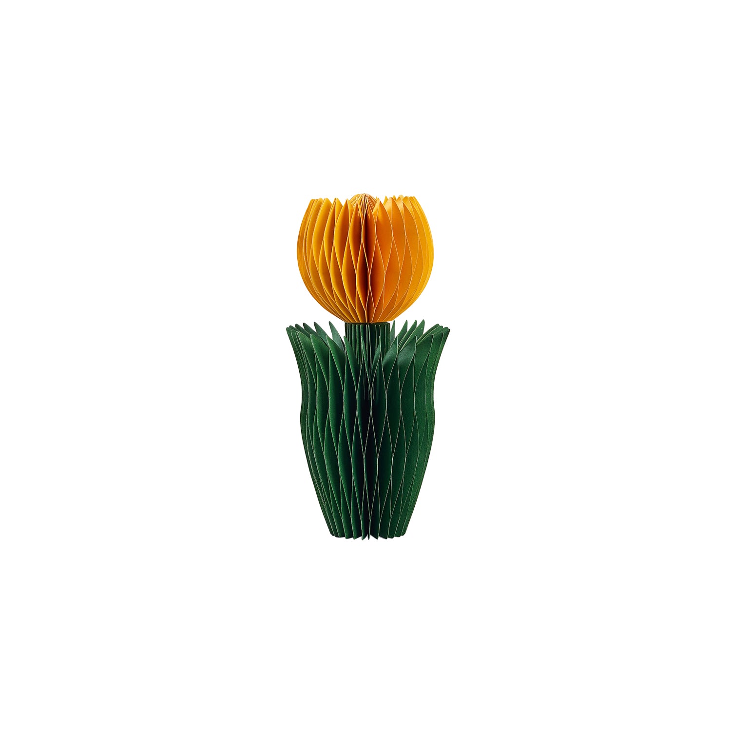 Honey Easter Tulip Yellow S