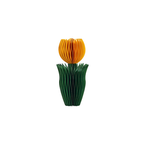 Honey Easter Tulip Yellow S