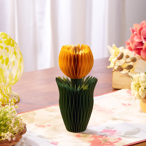 Honey Easter Tulip Yellow S
