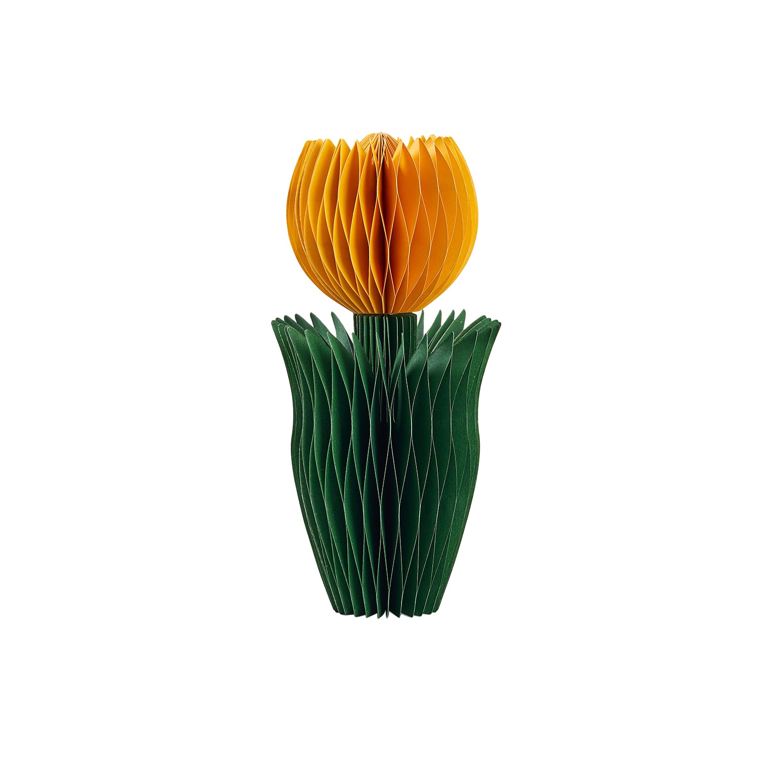 Honey Easter Tulip Yellow M