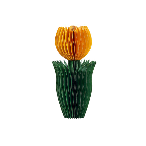 Honey Easter Tulip Yellow M