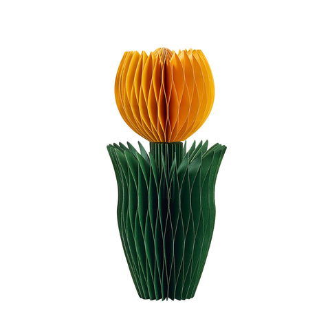 Honey Easter Tulip Yellow L