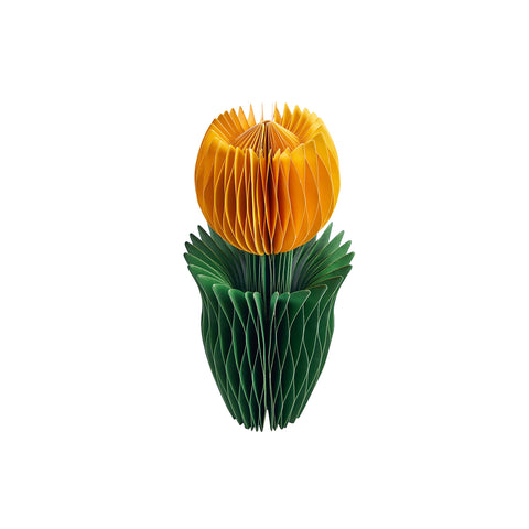 Honey Easter Tulip Yellow L