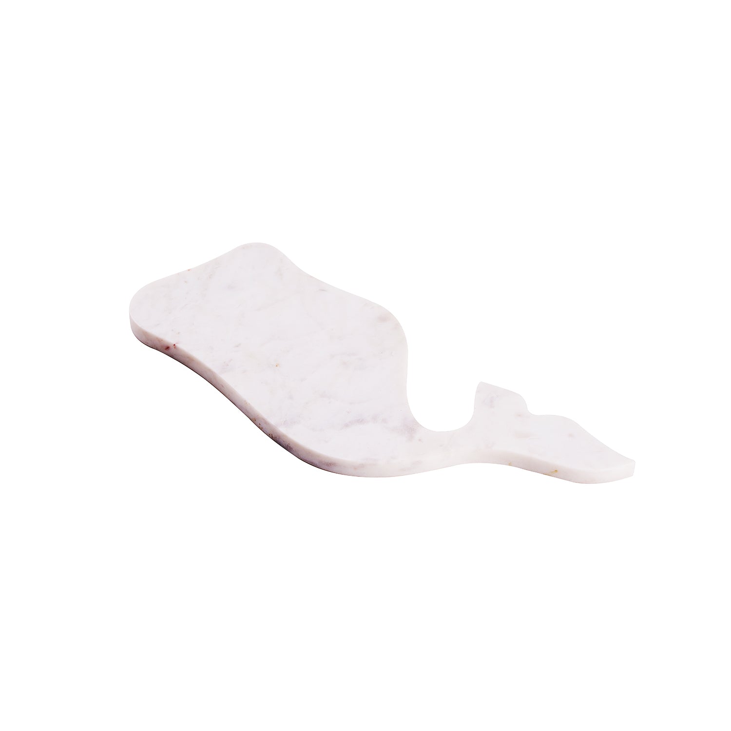 Riveria Dolphin Platter