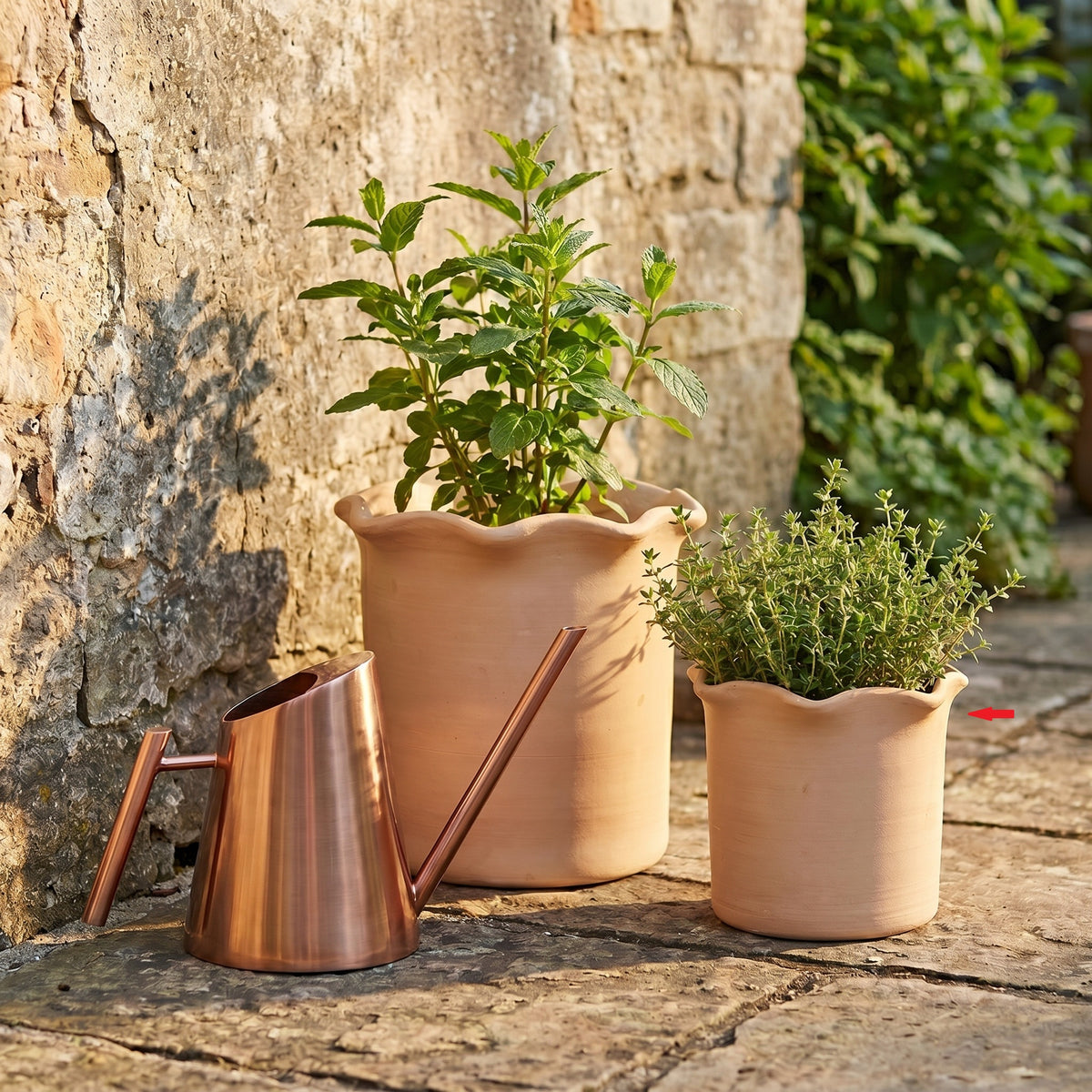 Nico Planter S