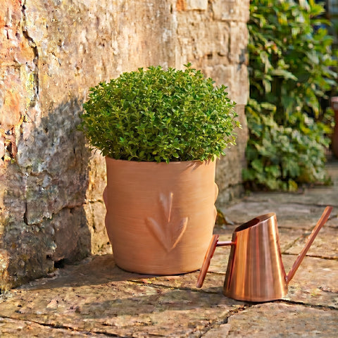 Nico Tulip Planter
