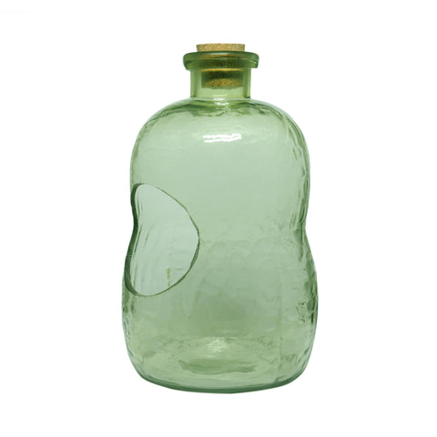 Clara Terrarium L