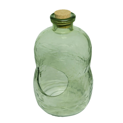 Clara Terrarium L