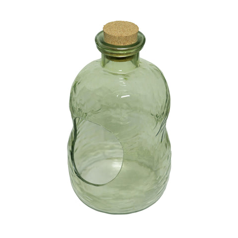 Clara Terrarium S