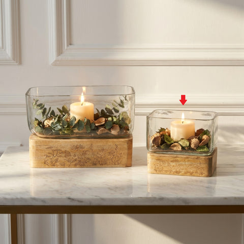 Nida Terrarium S