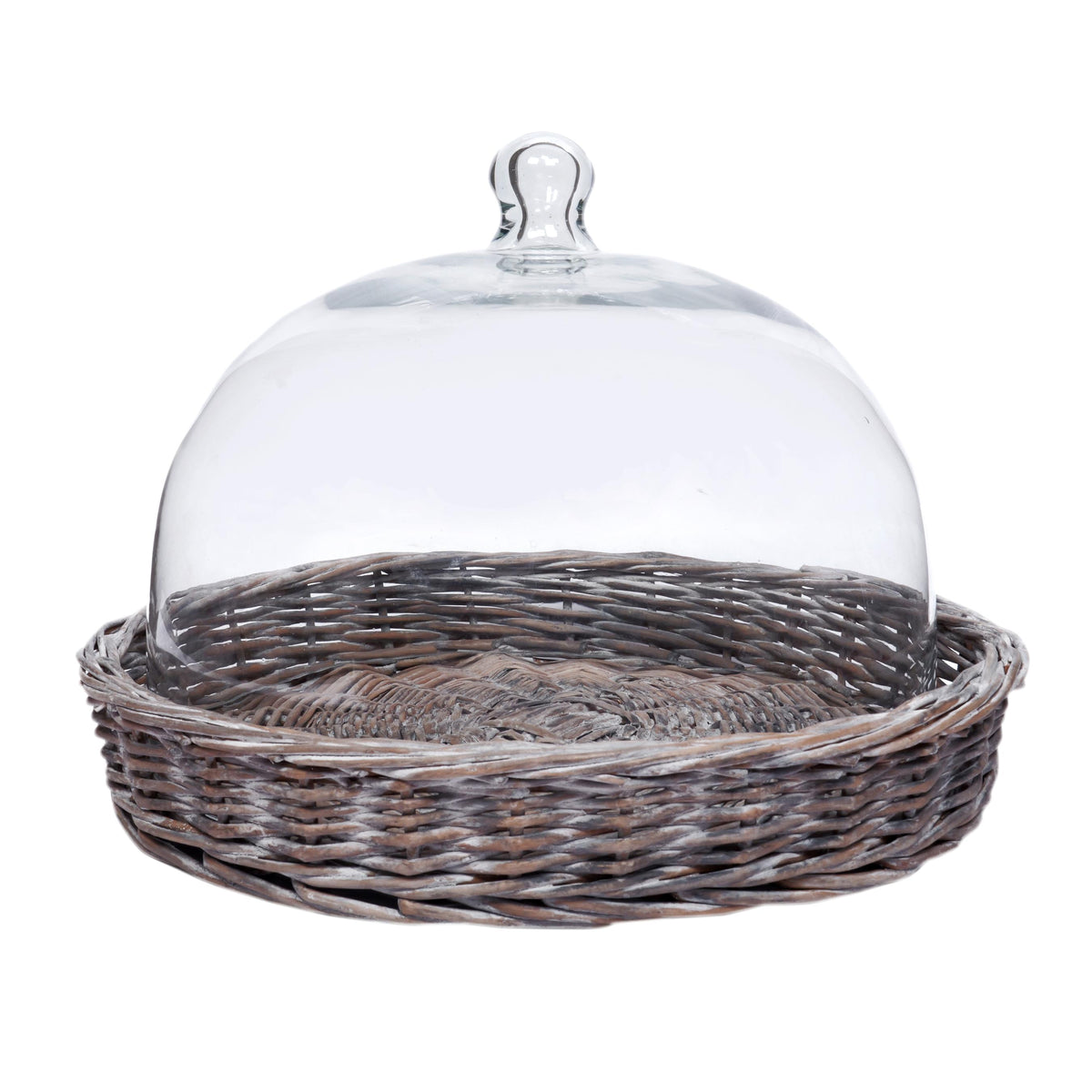 Clara Dome L