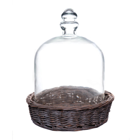 Clara Dome S